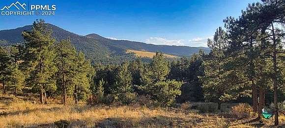 3.56 Acres of Land for Sale in Guffey, Colorado