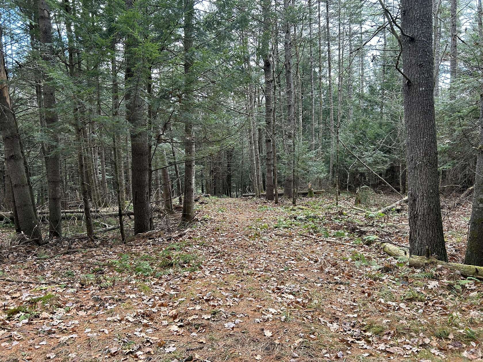 11 Acres of Land for Sale in Skowhegan, Maine