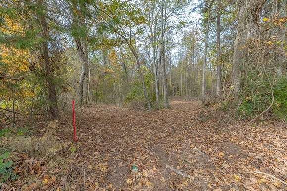 2.478 Acres of Residential Land for Sale in Cohutta, Georgia