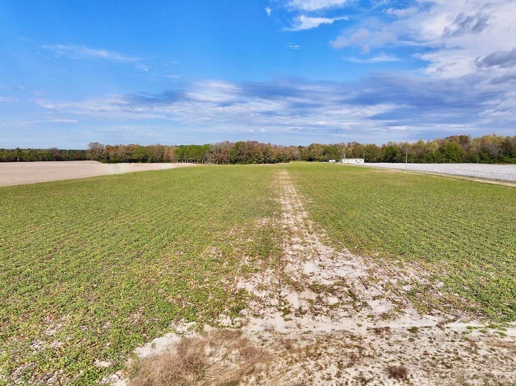 20.7 Acres of Recreational Land for Sale in Oak City, North Carolina