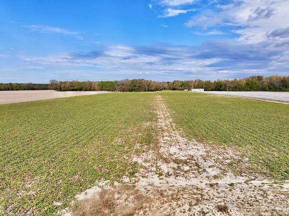 20.7 Acres of Recreational Land for Sale in Oak City, North Carolina