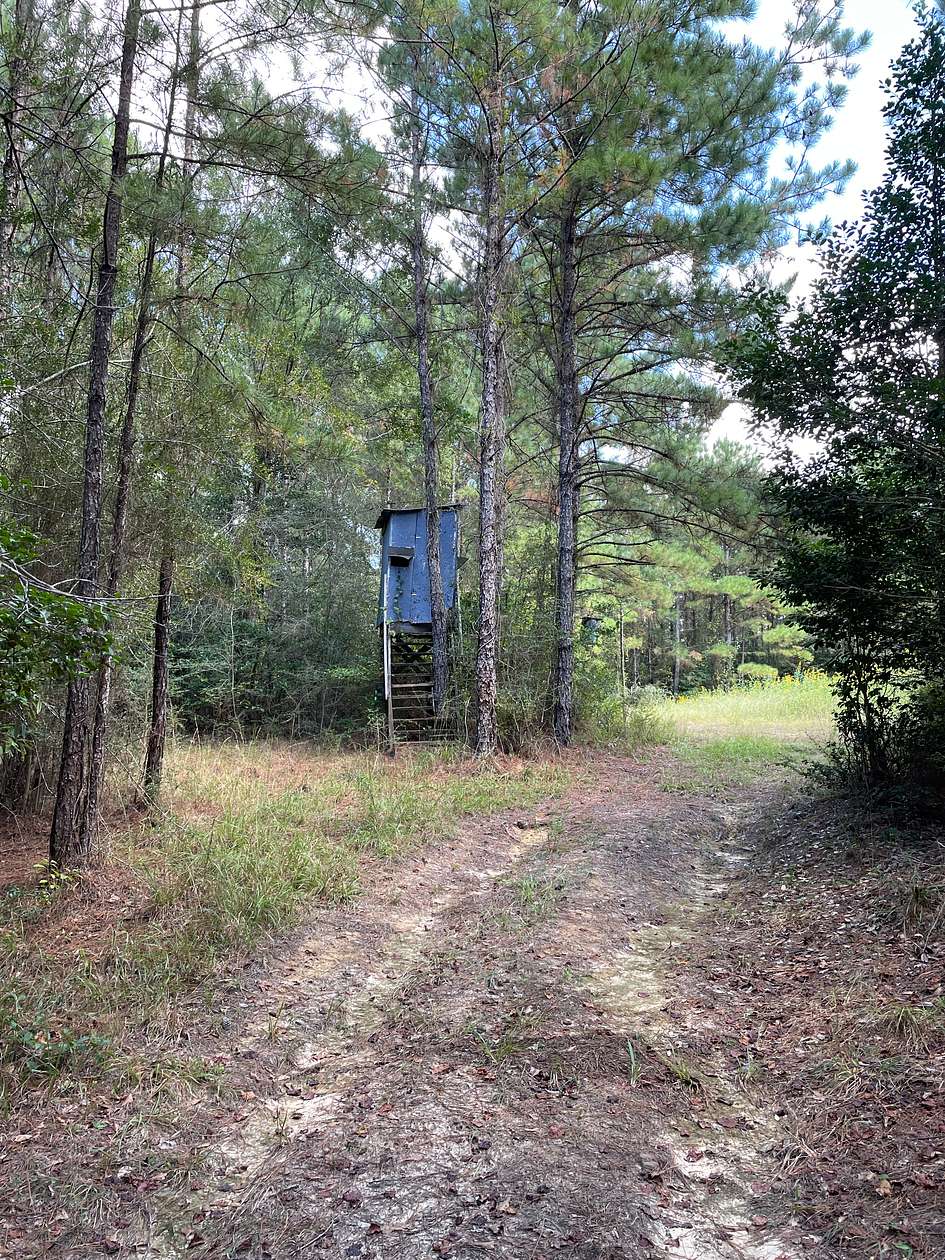 120 Acres of Recreational Land for Sale in Citronelle, Alabama