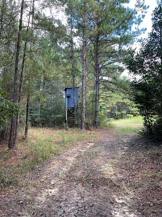 120 Acres of Recreational Land for Sale in Citronelle, Alabama