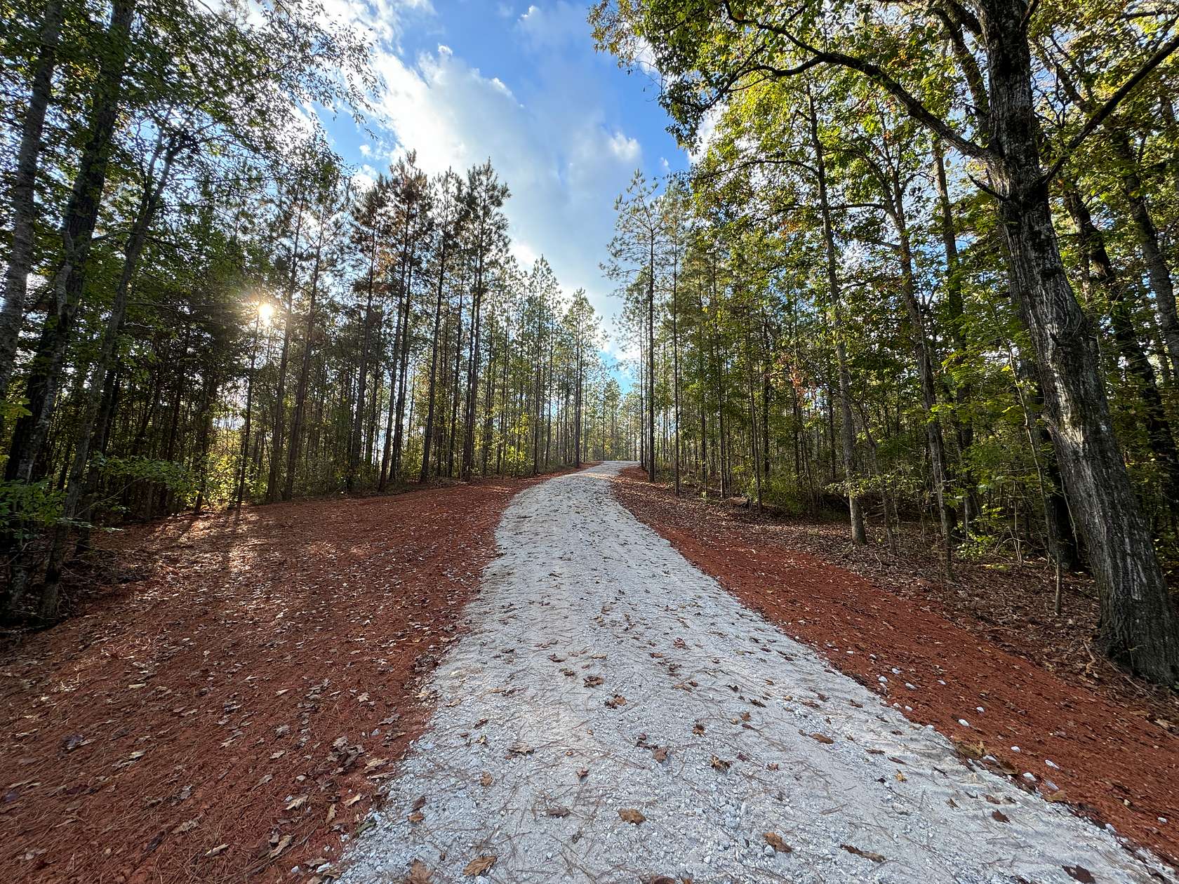 21 Acres of Land for Sale in Five Points, Alabama