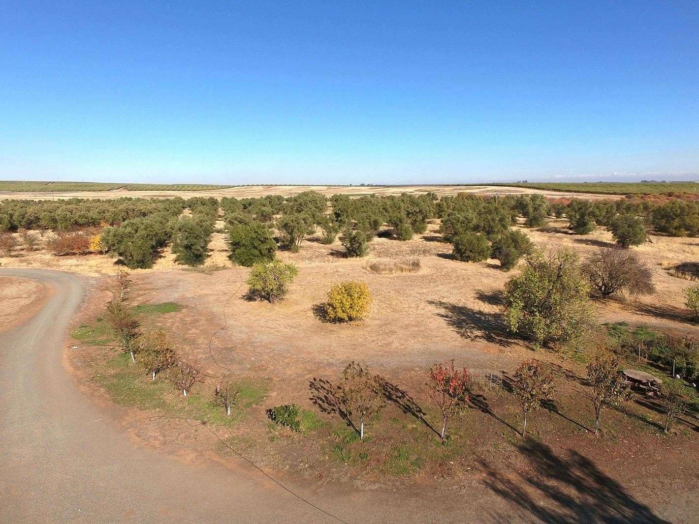 60 Acres of Agricultural Land with Home for Sale in Winters, California