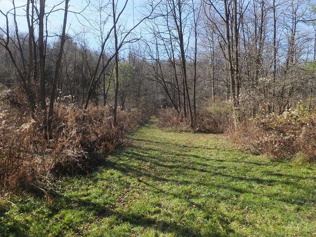 5.97 Acres of Land for Sale in Beaver Dams, New York