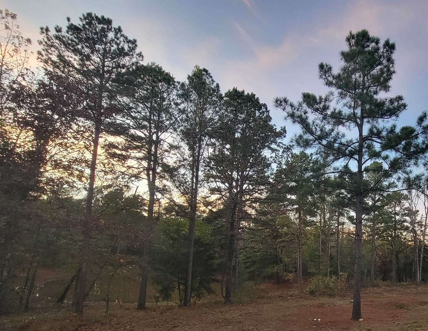 21.4 Acres of Recreational & Residential Land for Sale in Tyler, Texas