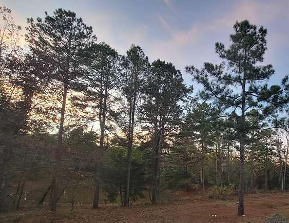 21.429 Acres of Recreational Land for Sale in Tyler, Texas