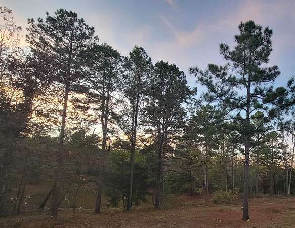 21.4 Acres of Recreational & Residential Land for Sale in Tyler, Texas