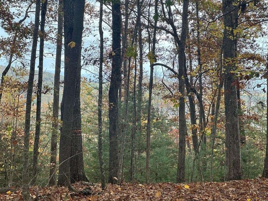 2.98 Acres of Residential Land for Sale in Blairsville, Georgia