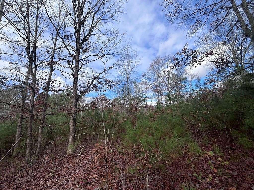 1.16 Acres of Land for Sale in Young Harris, Georgia