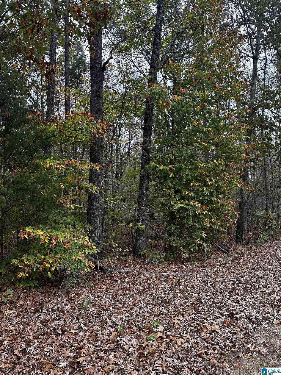 6 Acres of Land for Sale in Odenville, Alabama