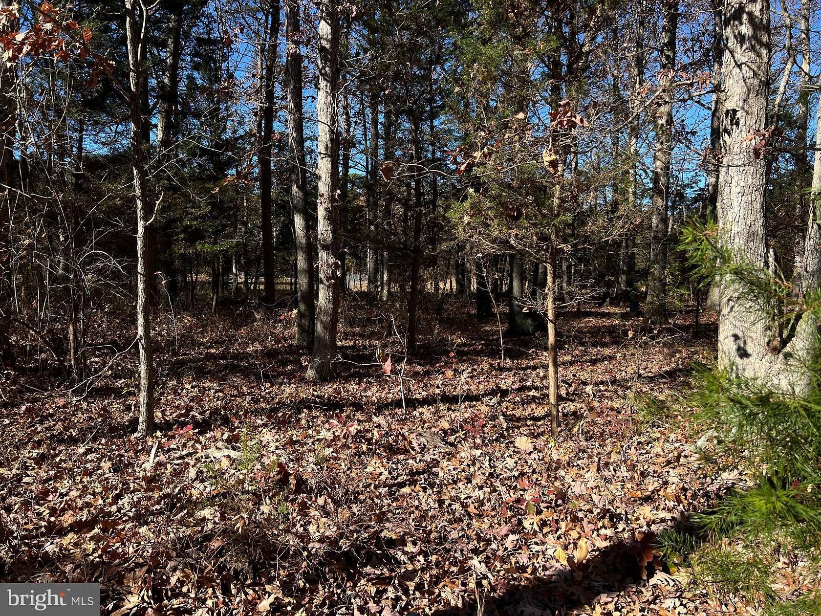 0.25 Acres of Residential Land for Sale in Millville, New Jersey