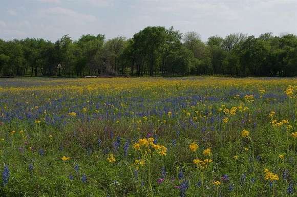 10.01 Acres of Land for Sale in Stockdale, Texas