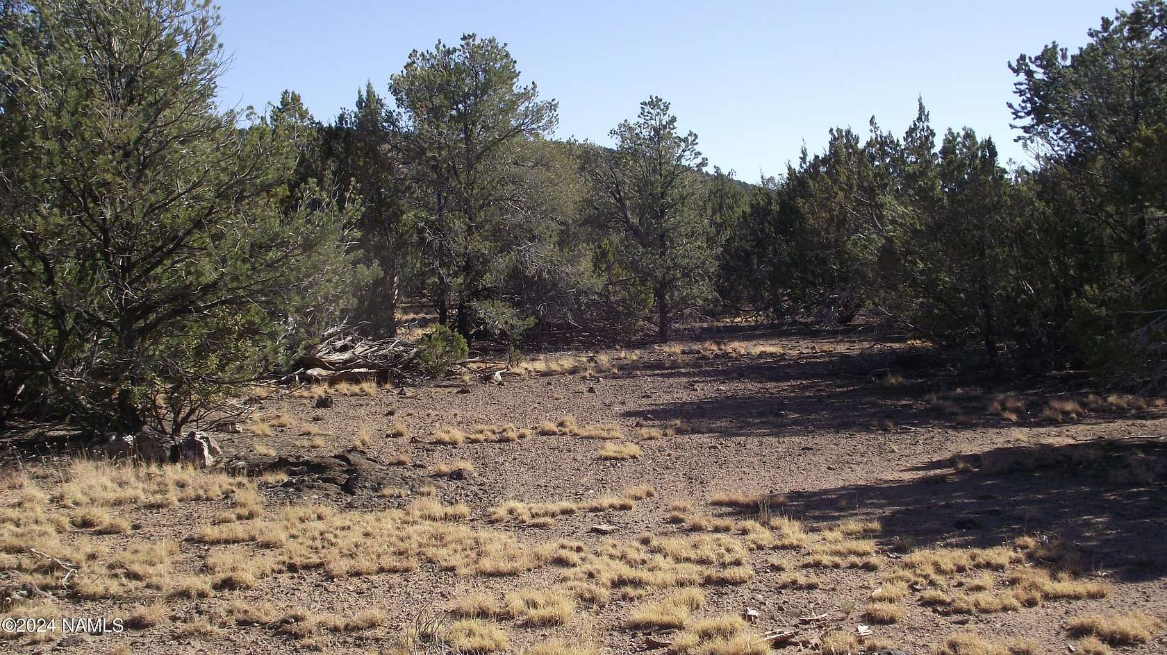 1 Acre of Residential Land for Sale in Williams, Arizona