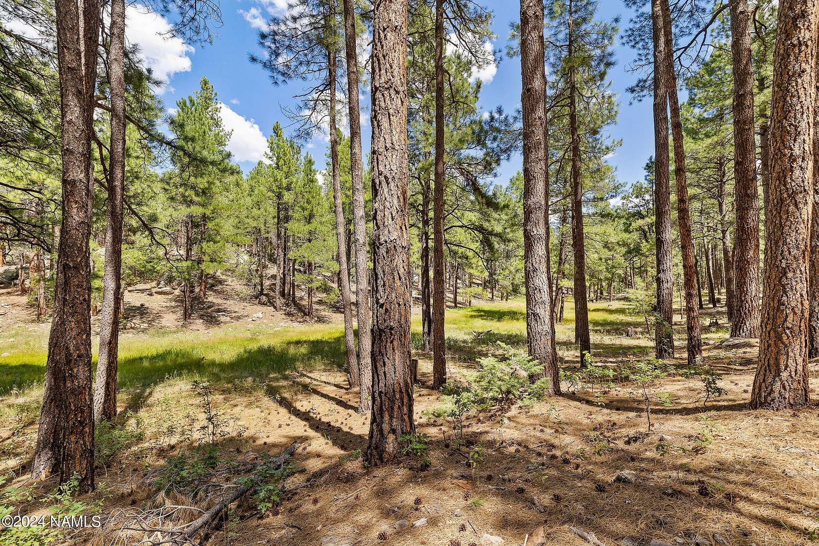 10.01 Acres of Land for Sale in Flagstaff, Arizona