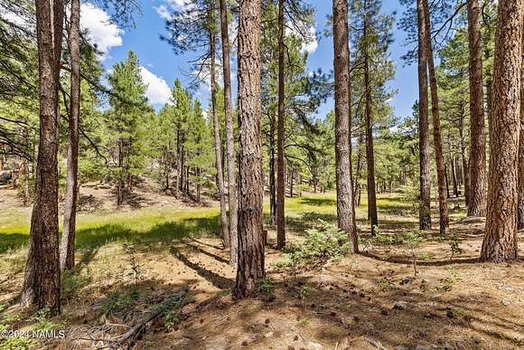 10.01 Acres of Land for Sale in Flagstaff, Arizona