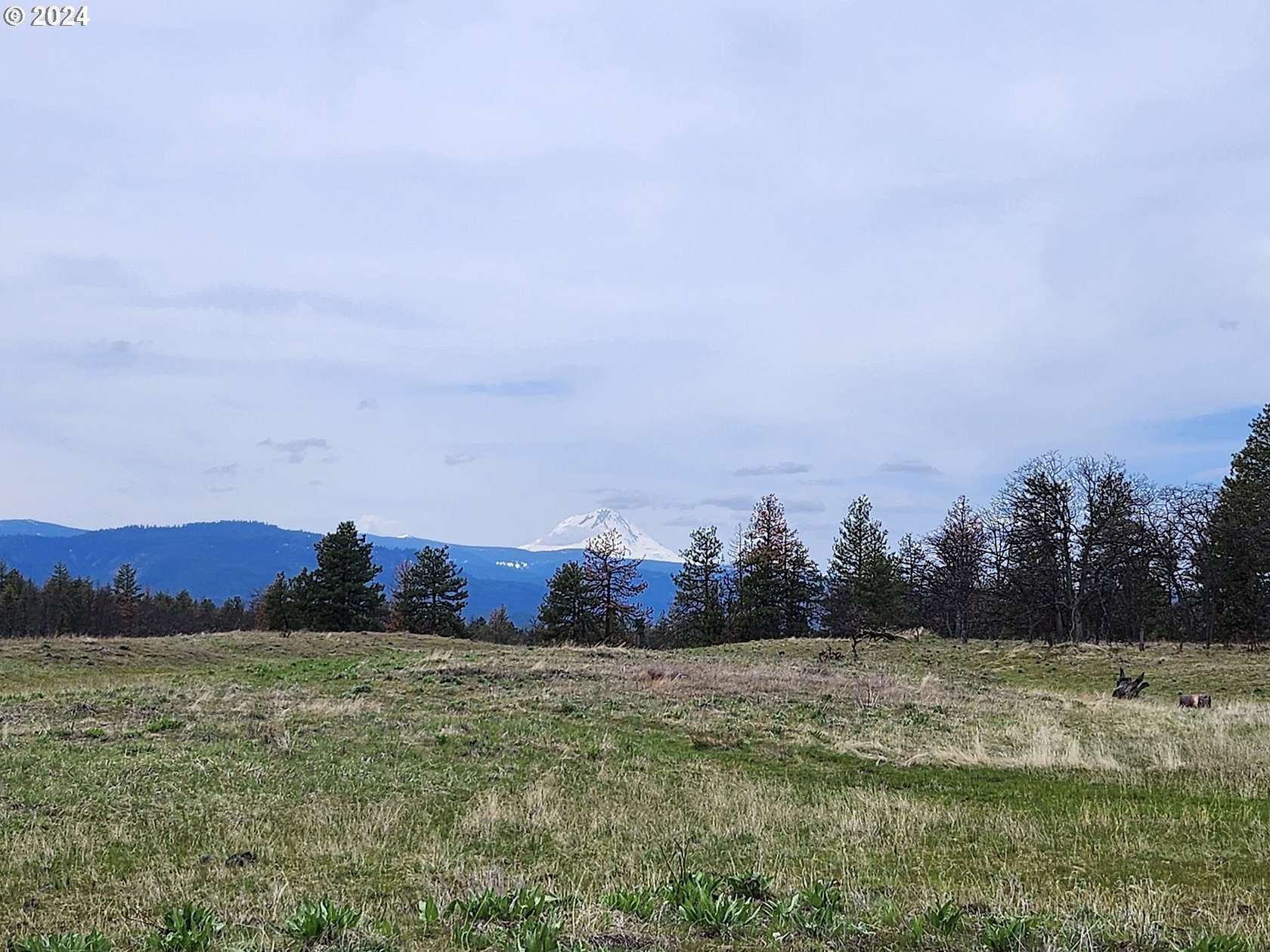 687 Acres of Land for Sale in Dufur, Oregon