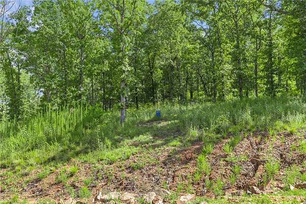 1.1 Acres of Residential Land for Sale in Harrison, Arkansas