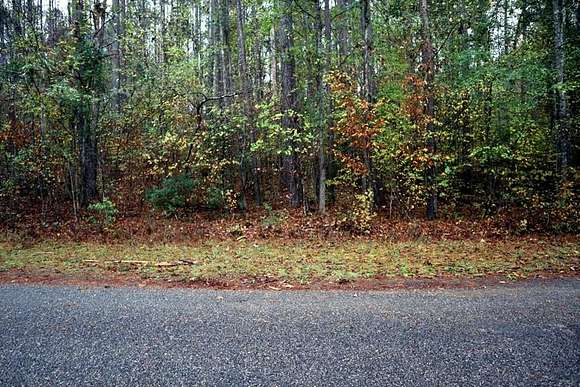 0.55 Acres of Residential Land for Sale in Sparta, Georgia