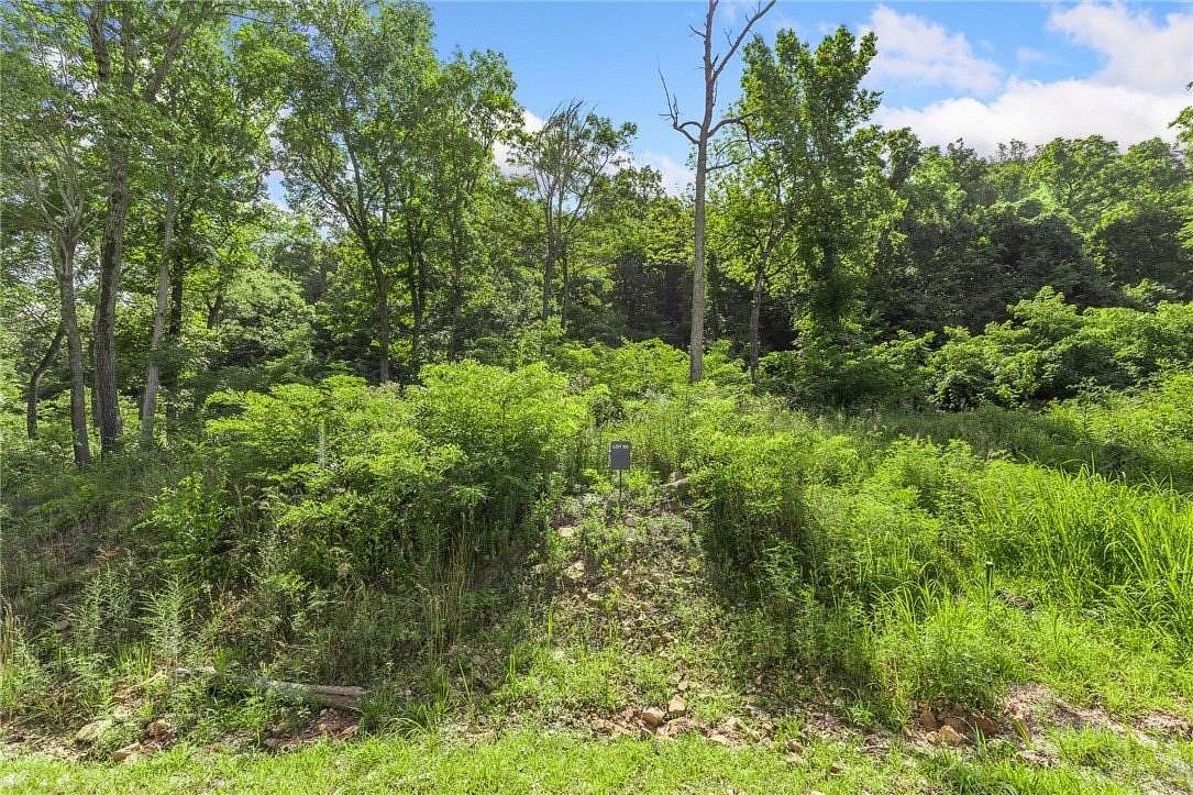 1 Acre of Residential Land for Sale in Harrison, Arkansas