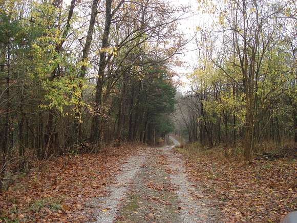 18.44 Acres of Recreational Land with Home for Sale in Berry, Kentucky