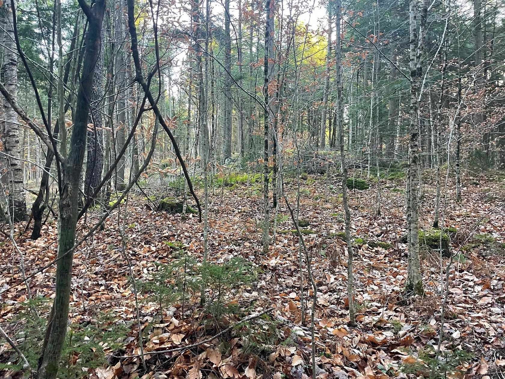 49 Acres of Recreational Land for Sale in West Fairlee, Vermont