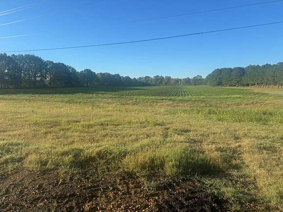 18.1 Acres of Commercial Land for Sale in Geeslin Corner, Mississippi