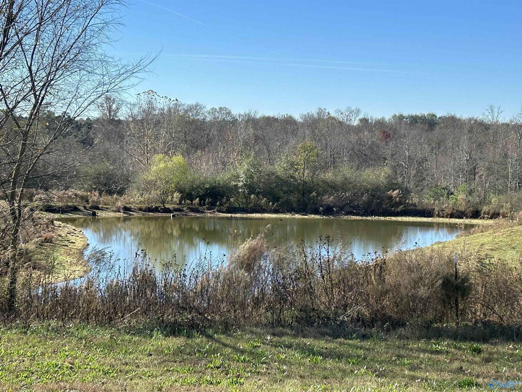 50 Acres of Agricultural Land for Auction in Horton, Alabama