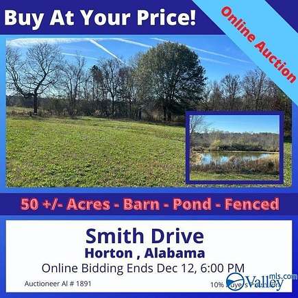 50 Acres of Agricultural Land for Auction in Horton, Alabama