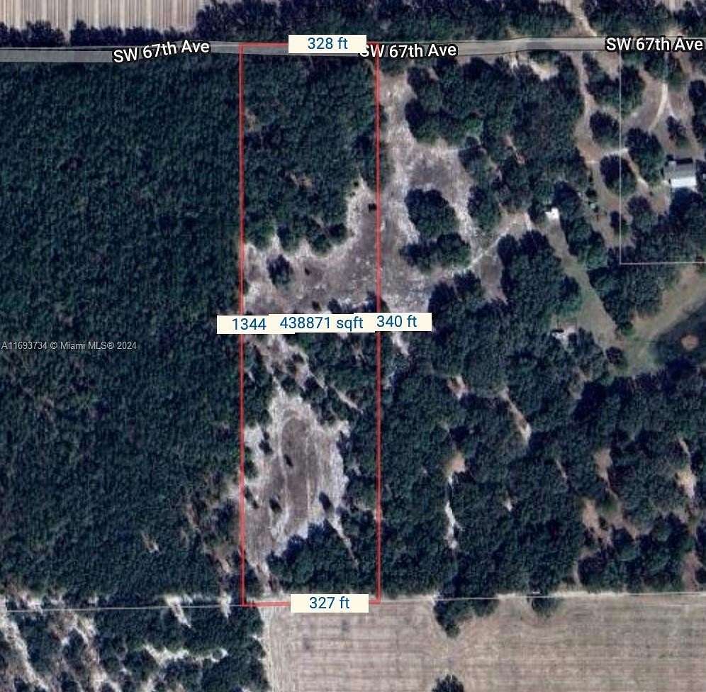 10 Acres of Residential Land for Sale in Newberry, Florida