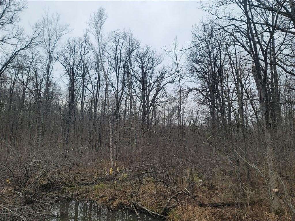 5 Acres of Land for Sale in Cameron, Wisconsin