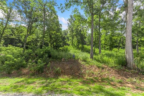 0.7 Acres of Residential Land for Sale in Harrison, Arkansas