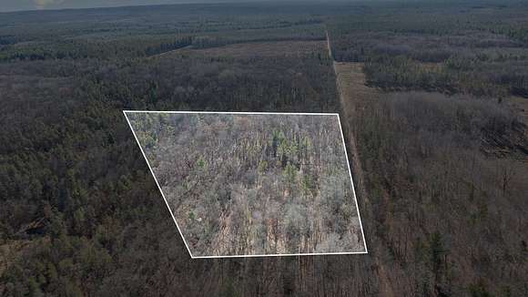 11.09 Acres of Recreational Land for Sale in Houghton Lake, Michigan