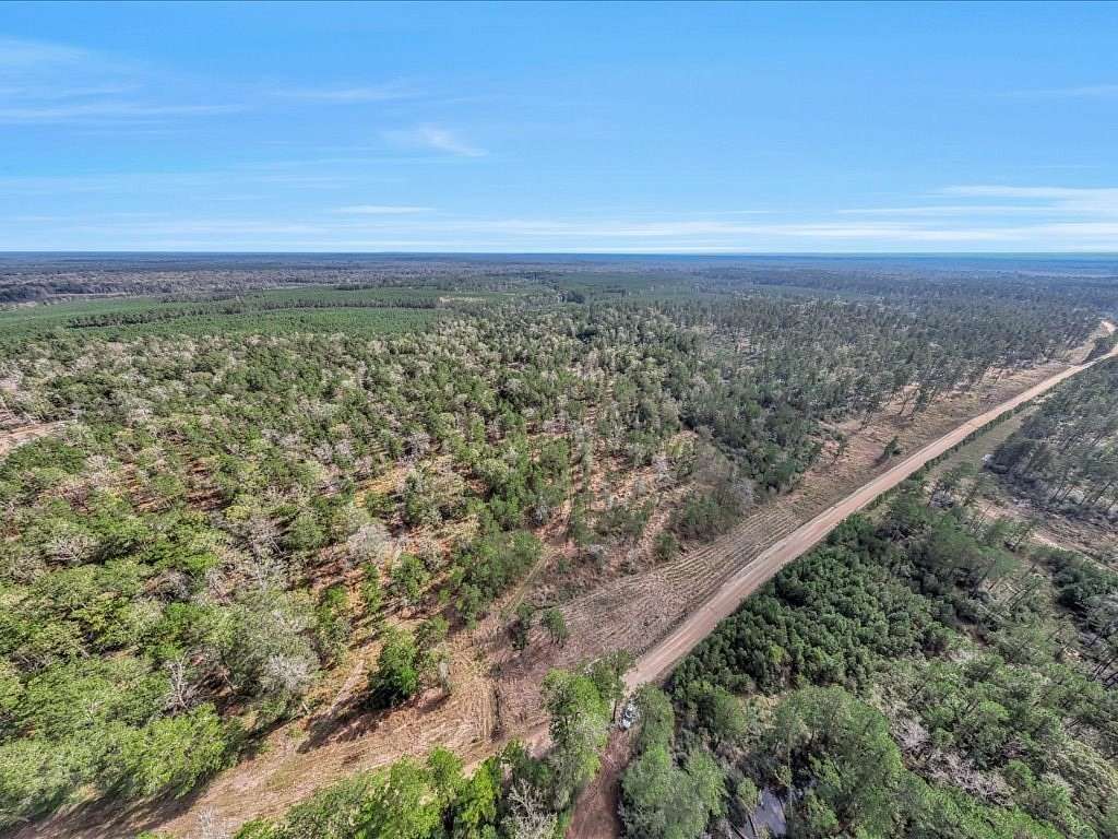 45 Acres of Recreational Land for Sale in Lufkin, Texas