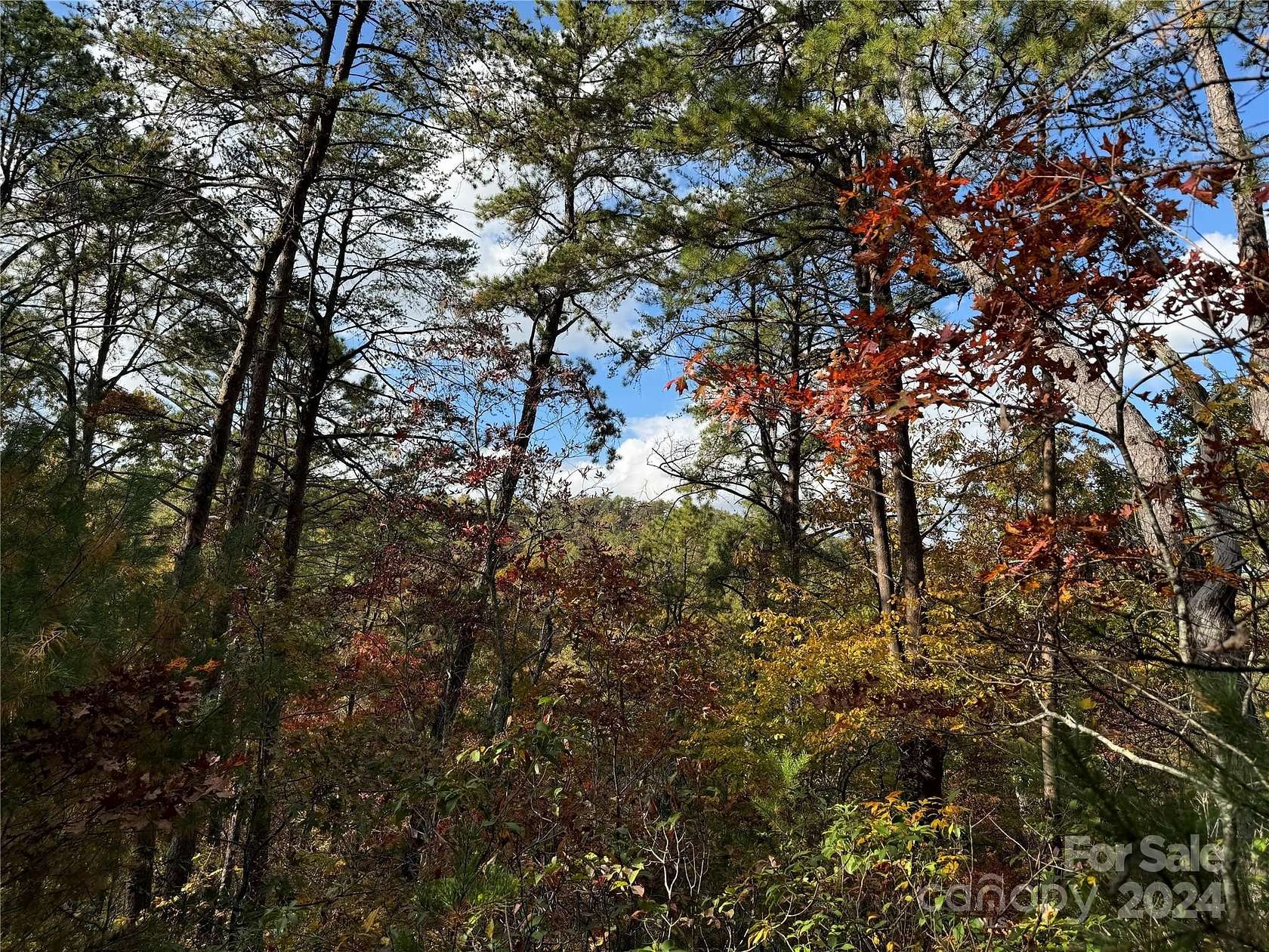 4.84 Acres of Residential Land for Sale in Lake Lure, North Carolina