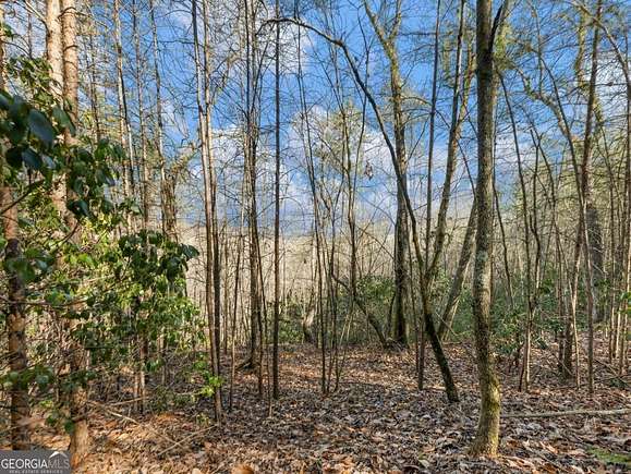 1.7 Acres of Residential Land for Sale in Cleveland, Georgia