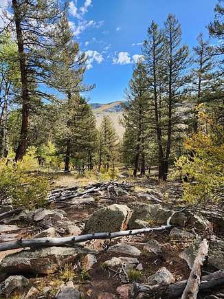 1.75 Acres of Residential Land for Sale in Fairplay, Colorado