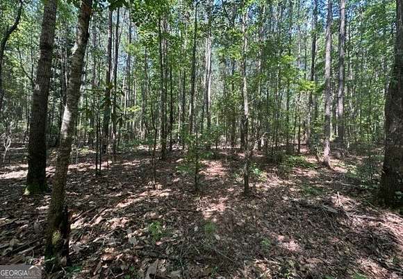 3.86 Acres of Residential Land for Sale in Manchester, Georgia