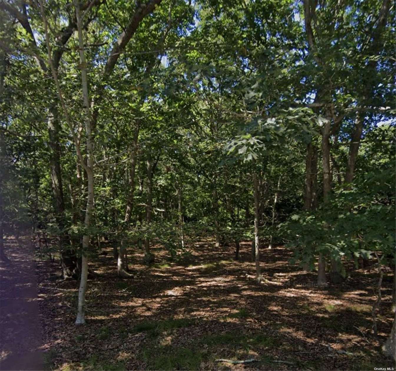 0.56 Acres of Land for Sale in East Hampton, New York