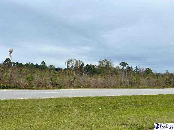 10.94 Acres of Land for Sale in Wallace, South Carolina