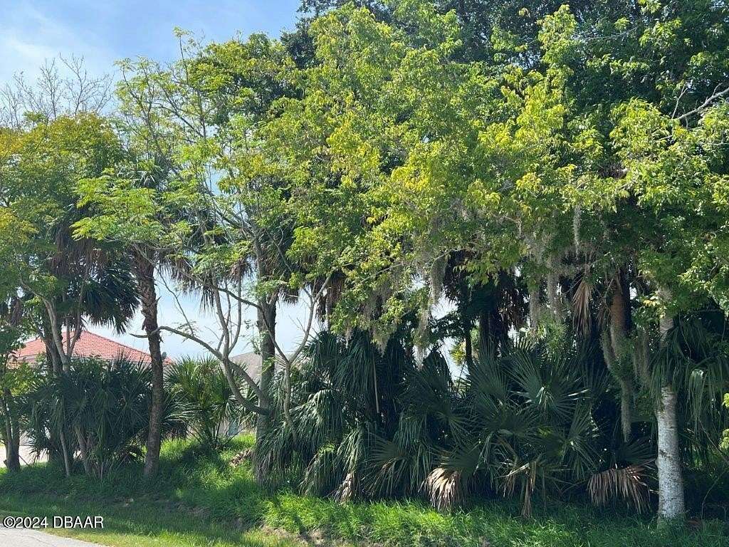 0.2 Acres of Residential Land for Sale in Palm Coast, Florida