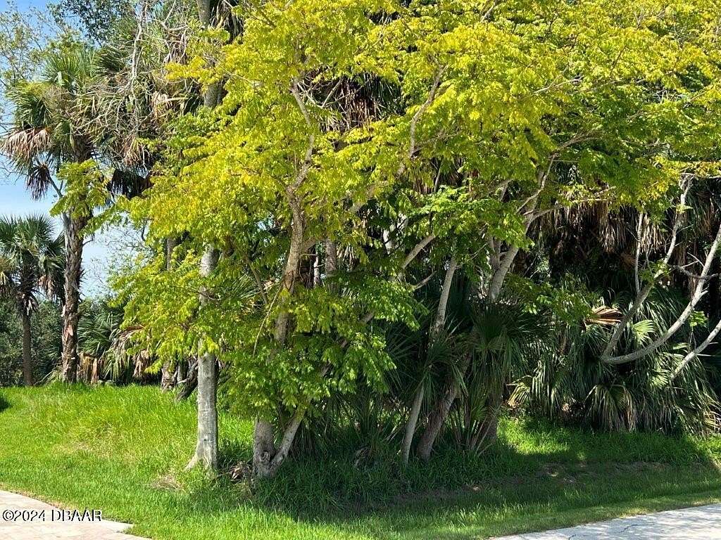 0.2 Acres of Residential Land for Sale in Palm Coast, Florida