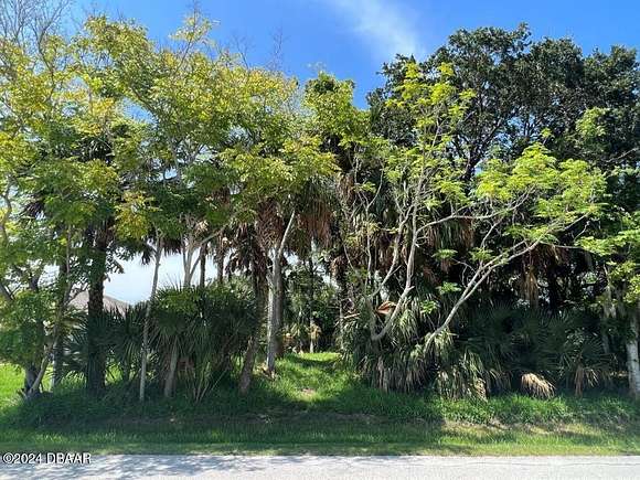 0.2 Acres of Residential Land for Sale in Palm Coast, Florida