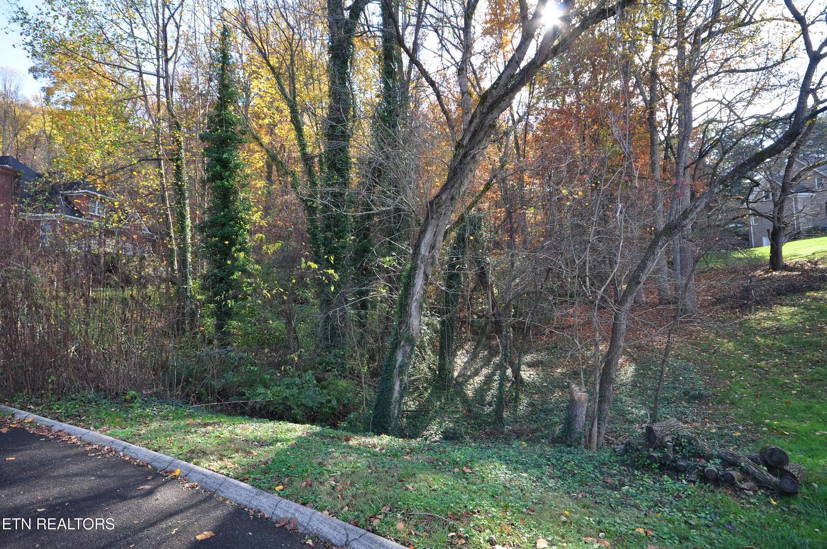 17.1 Acres of Land for Sale in Knoxville, Tennessee