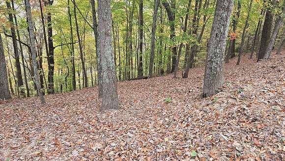 0.51 Acres of Residential Land for Sale in Smithville, Tennessee