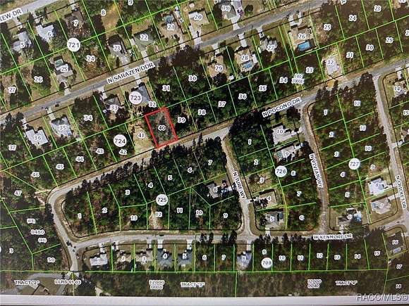 0.23 Acres of Land for Sale in Citrus Springs, Florida