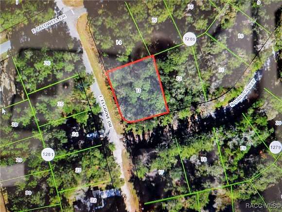 0.31 Acres of Residential Land for Sale in Citrus Springs, Florida