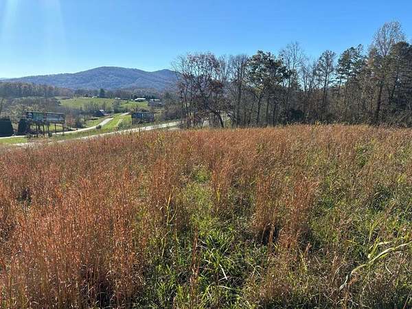 5 Acres of Mixed-Use Land for Sale in Hayesville, North Carolina