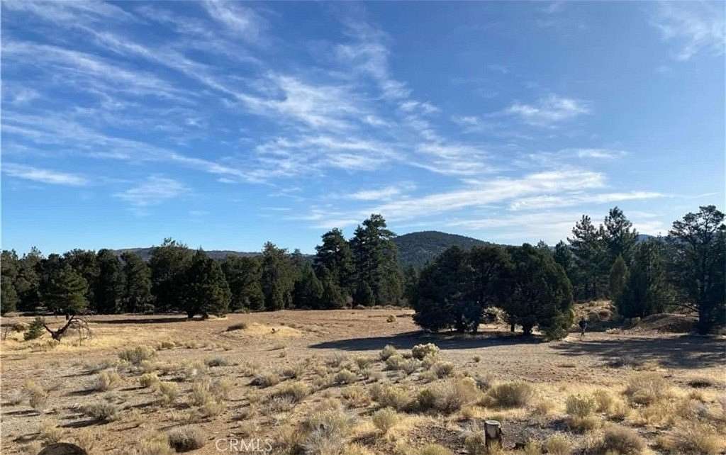 15.1 Acres of Land for Sale in Big Bear City, California